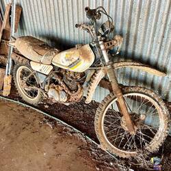 Shed Ornament