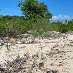 This isn't even the worst of it