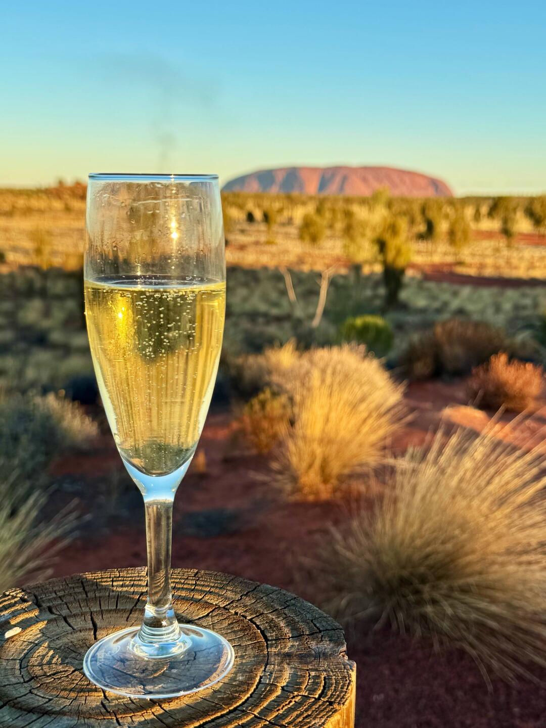 Cheers 🥂 to a great trip!