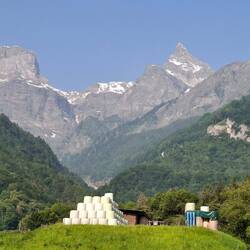 de boer keek naar het landschap en dacht: dat kan ik ook.