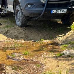 Das Wasser ist über Nacht gestiegen 😳