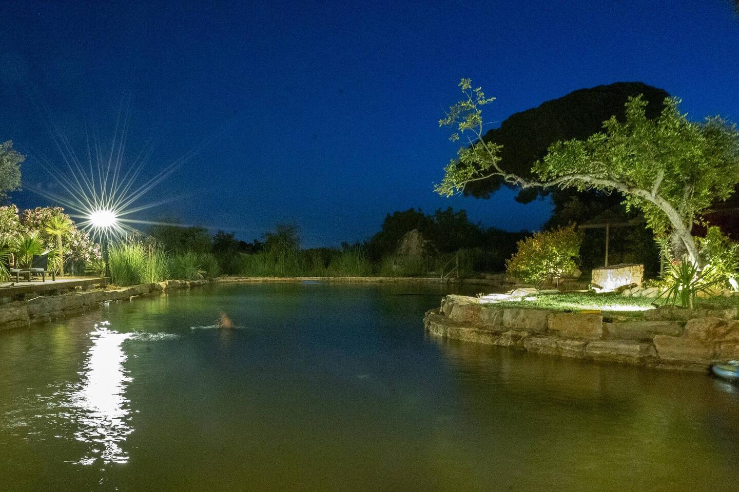 Abendstimmung am Naturteich des Camps