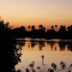 Sonnenaufgang am Sambesi.