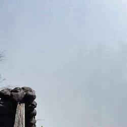 Nichts für "mach-mich-nicht-nass" Fetischisten.