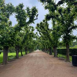 The lovely gardens of Rosenberg castle