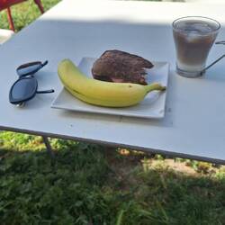 Morning tea stop