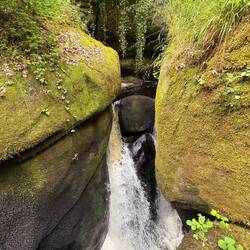 Der Wasserfall verschwindet unter der Erde und der Bach taucht erst 150 m weiter wieder auf