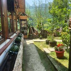Der Garten ist ein Kleinod und gleichzeitig Restaurant