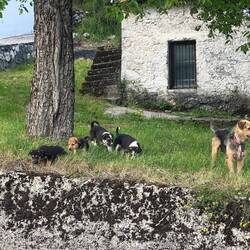 Eine schrecklich nette Familie