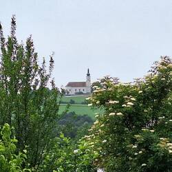 Blick auf eine entfernte Kirche