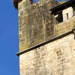 ?? Stork, no sign of the occupant