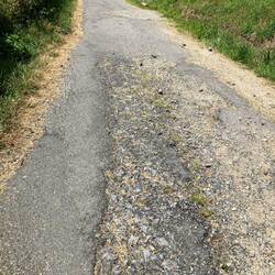 Pavement cobbles gravel... glad I upgraded my shoes!