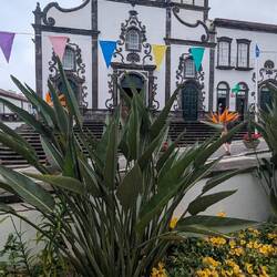 Vila Franca do Campo