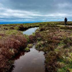 Peat bog- 'Dead Marshes' Tolkein