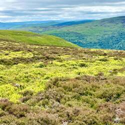 Looking west over the heath