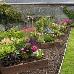 The garden of The Butler House
