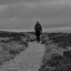 On Black Mountain