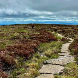 Atop Black Mountain