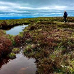 Black Mountain