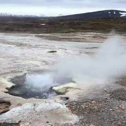 I would like one of these in the garden