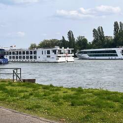 Flusskreuzfahrtschiff-'Terminal' in Rüdesheim
