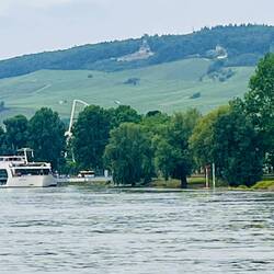 Kleine Einfahrt in den Hafen Rüdesheim vor den Fahrgastschiffen an den Bobern