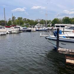 Solaris im Rüdesheimer Yachthafen (ganz hinten, schwarzes Verdeck)