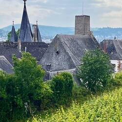 Rüdesheimer Dächer