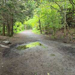 Kleine Wanderung durch den Point Plesant Park