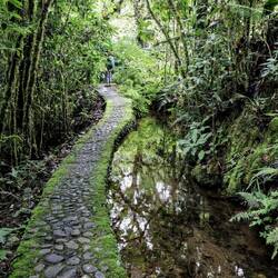 For those with mobility problems, there is a walking trail around the "Sueños del bosque".