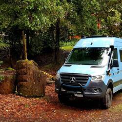 In the middle of nature. Camping at "Sueños del bosque".