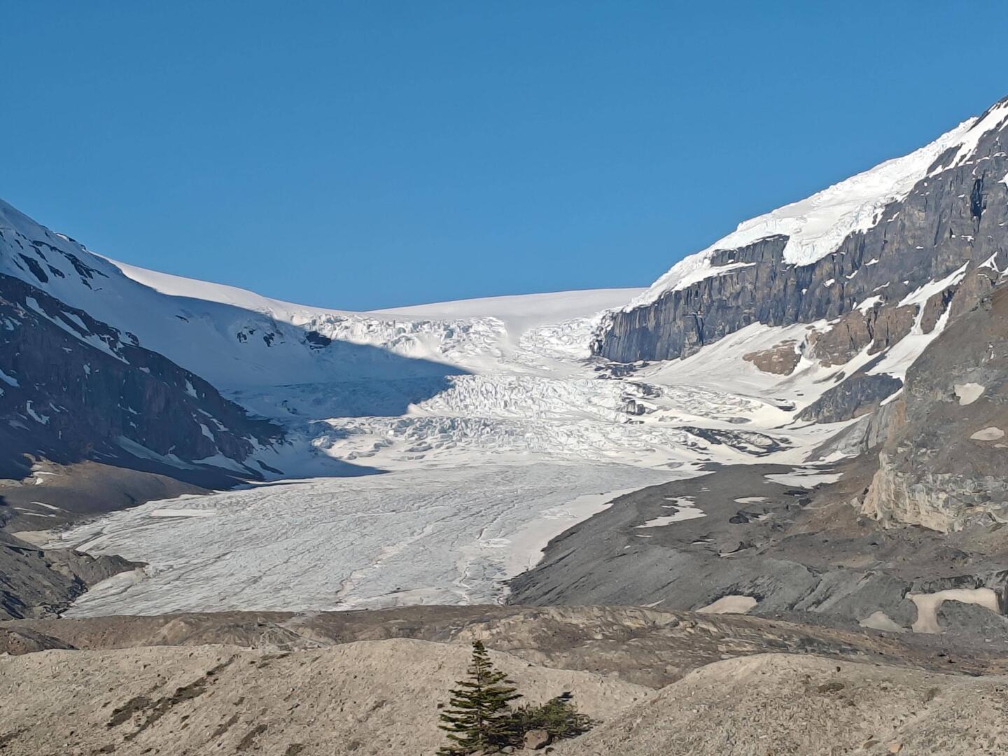 Athabasca Gletscher