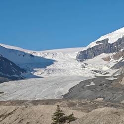 Athabasca Gletscher