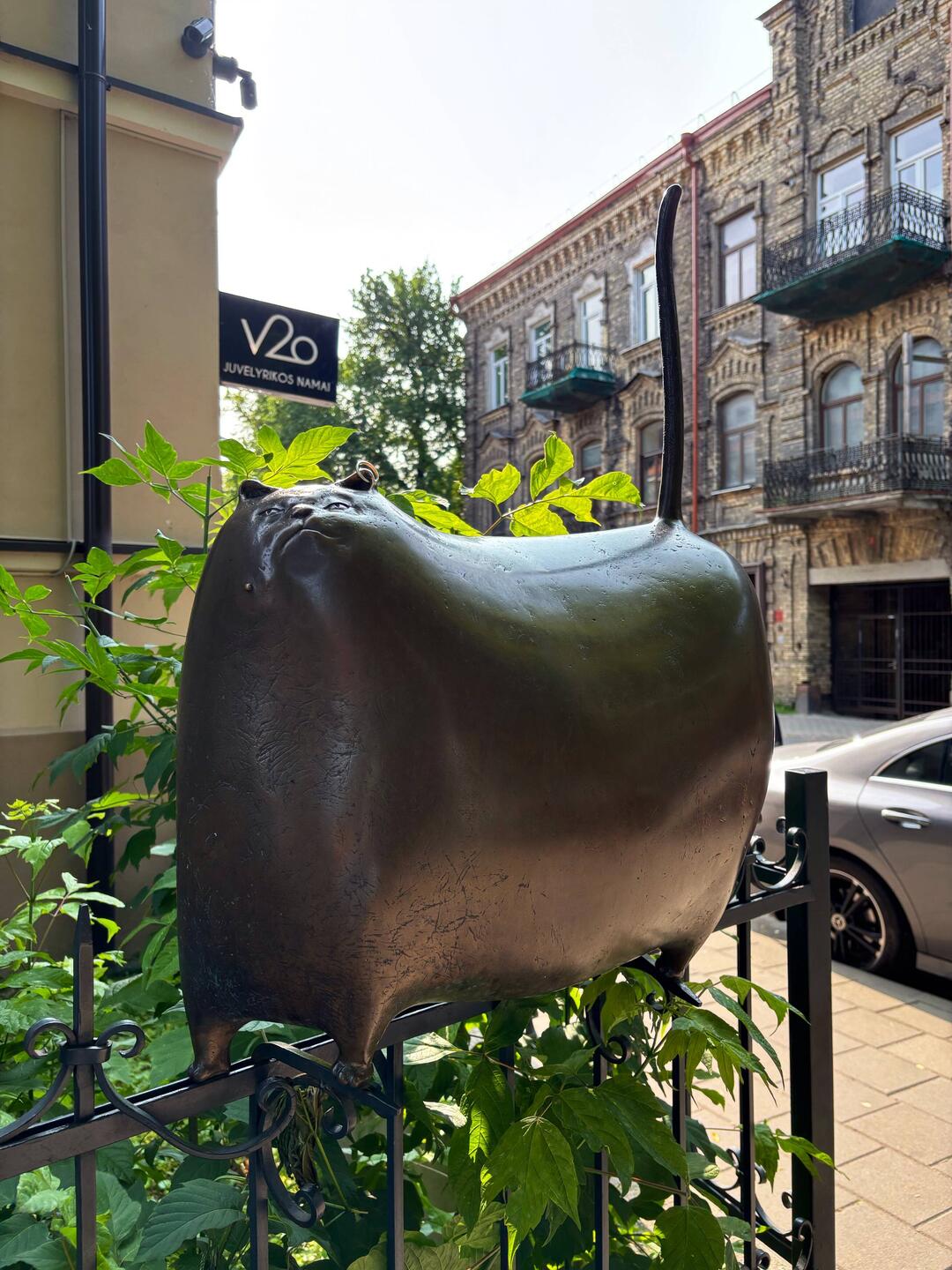 Gatto portafortuna e motivatore