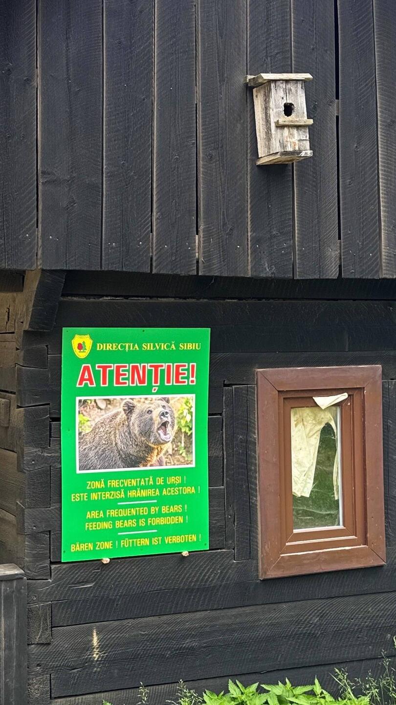 Gabi liebt Bären Warnschilder!