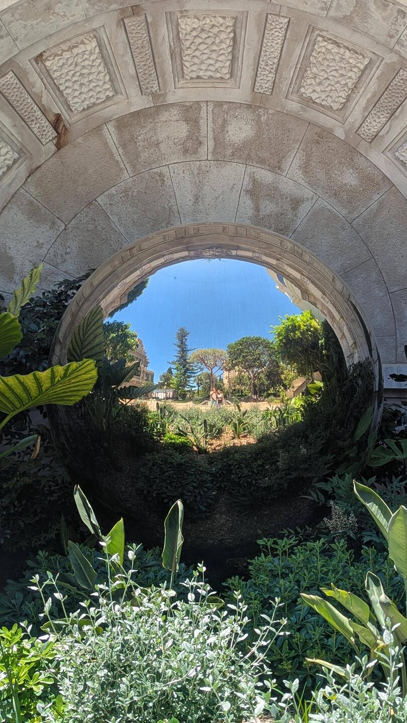 Reflektion im Garten...