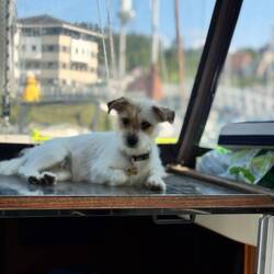Pepper's new favourite place