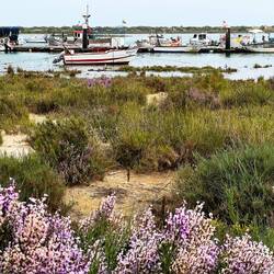 Am Hafen mit Blick auf die Insel mit dem vermeintlichen Strand😉