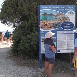 Wir sind zum 🐢 Schildkrötenstrand spaziert, die wollten uns allerdings LEIDER nicht treffen.