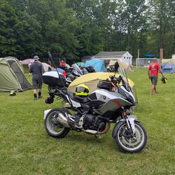 I set up camp in the grassy meadow.