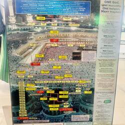 .. de nos origines communes à tous, elle nous explique avec gentillesse que nous sommes tous cousins