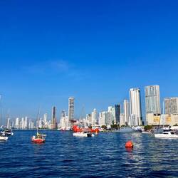 Les gratte-ciels dominent le port