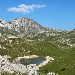 Blick auf den Prutas