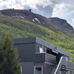 Bis etwas unter der Baumgrenze haben wir es geschafft