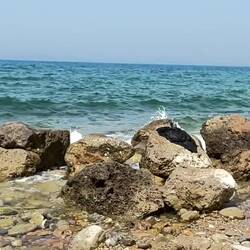 Ton einschalten für Meeresrauschen