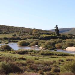 ...fahren in die Cederberge