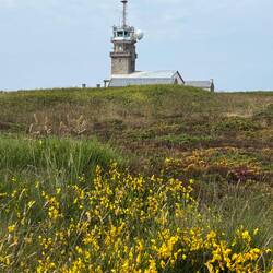 Turm der Küstenwache