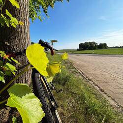Kurvenpause