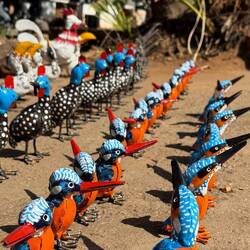 Stillgestanden! Schnäbel geradeaus! Und ein Lied zwo-drei-vier!