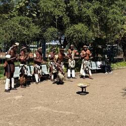 Ganz eindeutig nicht gestellt! Die machen das aus purer Lebensfreude und weil die Sonne scheint.